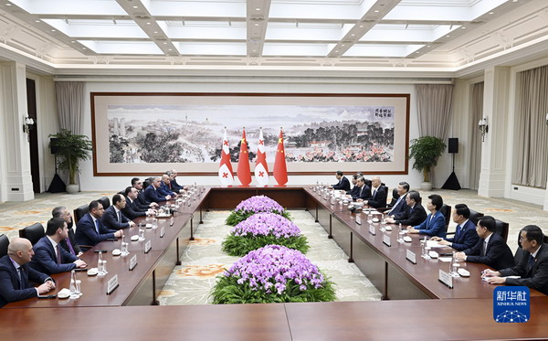 习近平会见格鲁吉亚总理加里巴什维利2.jpg